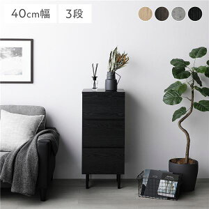 ^X `FXg [ X 3i 40 ߗގ[  Lrlbg e o s40cm ^  [ m _X JE^[  l炵 rO ؖڒ rt 