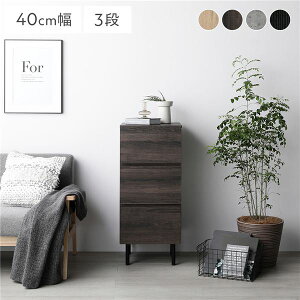 ^X `FXg [ X 3i 40 ߗގ[  Lrlbg e o s40cm ^  [ m _X JE^[  l炵 rO ؖڒ rt 