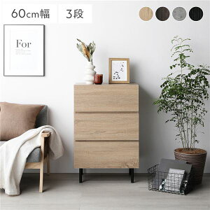 ^X `FXg [ Ch 3i 60 ߗގ[  Lrlbg e o s40 ^  [ m _X JE^[  l炵 rO ؖڒ rt X