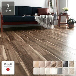 NbVtA ]ˊ3p 176cm×261cm OAJVA { h  R hJr h ؖڕ 󒍐Y