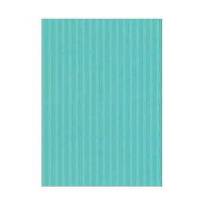 i܂Ƃ߁j qTSJ[_{[ bv{[h B3 XJC RB02 1pbNi3j y×2Zbgz