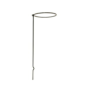 y4{gz v^[x ya20cm×60cmz X`[C[() { 173 Ԏxx k| K[fjOpil