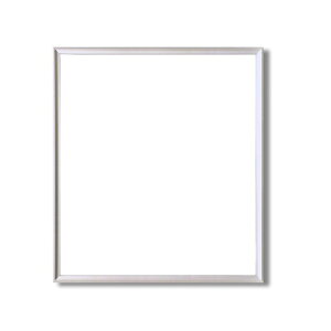 デッサン額縁 額 フレーム 〔 三三サイズ 606×455mm 〕 シルバー 壁掛けひも付き 化粧箱入り 5003