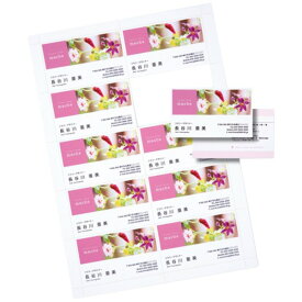 (まとめ)サンワサプライ インクジェット名刺カード・光沢(ミシン目、A4、10面、20シート200カード入り) JP-MC13K【×5セット】