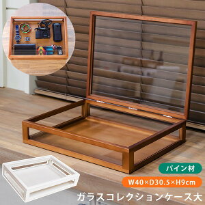 RNVP[X/fBXvCP[X Pi yz 40cm ؐt[ KX zCg() yizysz