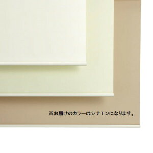 [XN[ Ռ h [J[e ՔM uCh 90  i TVF[h 悯 ډB vR[h [ XN[ uChJ[e J[e    