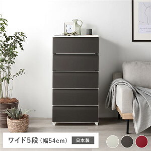 ^X `FXg vX`bN [ 5i Ch ق ߗގ[  y 55cm { N[[bg[ v e o  [ m _X y  l炵 