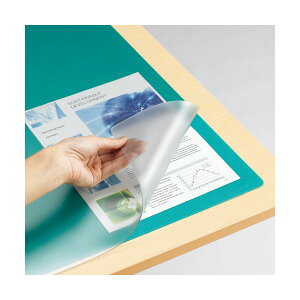 (�܂Ƃ�) TANOSEE �f�X�N�}�b�g(���w���}�E�X�Ή�) �_�u��(���~�t) 600×450mm 1�� �y×10�Z�b�g�z