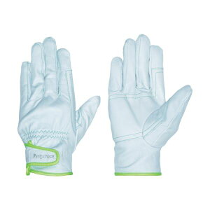 yMG[XWp CW[EAecL(O[ELLTCY) TH-503-LL 1o