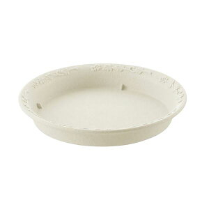 (܂Ƃ) mFv[g/Aؔ󂯎M y30^N AC{[z U28×H3.2cm K[fjOpi | y×32Zbgz