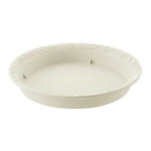 (܂Ƃ) mFv[g/Aؔ󂯎M y35^N AC{[z U32.5×H3.8cm K[fjOpi | y×28Zbgz