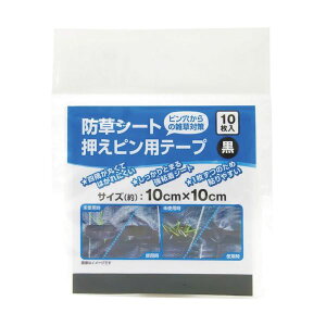 (܂Ƃ) _CI hV[g spe[v  10cm×10cm 252485 1(10) y×20Zbgz