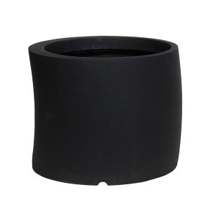 avX`bN t@Co[OXV[Y J[u 50^ ubN iꌊȂj