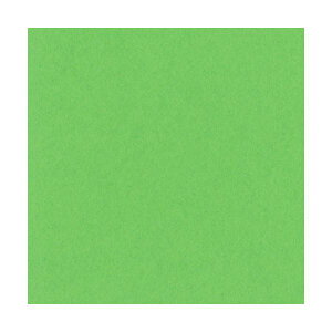 �����e�b�N �j���[�J���[R �l�� �������݂ǂ� 4NCR-238 1�p�b�N(100��)