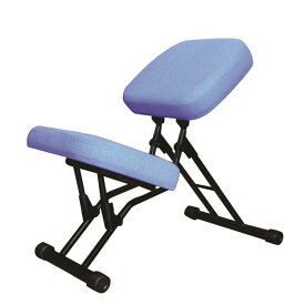 学習椅子/ワークチェア 【ブルー×ブラック】 幅440mm 日本製 折り畳み スチールパイプ 【代引不可】