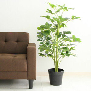 屋外 トイレ Diy 観葉植物の人気商品 通販 価格比較 価格 Com