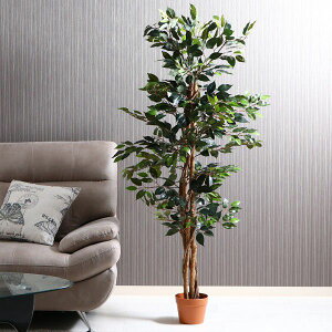 lHϗtA ^ ϗtA tFCN     tFCNO[ A CeAO[ A ubNtCf[