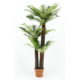 楽天市場 アウトレット 観葉植物 花 観葉植物 花 ガーデン Diyの通販