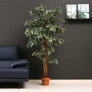 lHϗtA ^ ϗtA tFCN     tFCNO[ A CeAO[ A