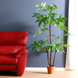 楽天市場 アウトレット 観葉植物 花 観葉植物 花 ガーデン Diyの通販