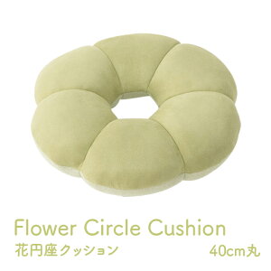 zc NbV  ~` ~ 􂦂 ֎qp  킢 ItBX tANbV ی^ `FA ֎q _炩 40cm t[O ւɂ fXN[N  `FApbh 