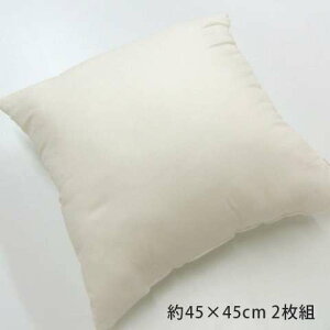 ヌードクッション 2枚セット クッション 中身 腰当て 背もたれ 腰当てクッション 背当て 背中 厚手 ソファ 小さい 柔らかい 肘置き 肘付き まくら ふわふわ ふかふか 中綿 小さめ 日本製 45×45