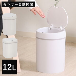 S~ ݔ ӂt ZT[ J  12l ی^ `  J SJ _Xg{bNX ݂΂ 12bg ʏ  LȂ Wt ȃXy[X rO R
