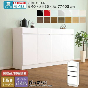 JE^[[ HI i `FXg X Y ݒu { o ؐ  ؖ s35 [^Cv I[_[ 40 ^ Lrlbg  rO ډB ǖʎ[ k  