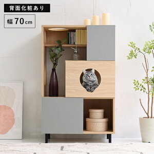 L gC[ LbgEH[N I ybgpi [ ˂Ƌ LVׂƋ LƋ[ Lbg^[ CeA I[vLrlbg [bN ubNtCf[