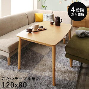 _CjO   e[u nC^Cv ` 120 80 _CjOe[u 4lp _CjOe[u  120×80 e[u _CjO  傫 r