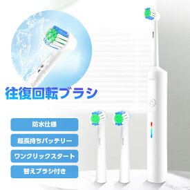 【クーポン利用で10％OFF】電動歯ブラシ 美容 健康 デンタルケア プレゼント ギフト おすすめ 母の日 プレゼント ラフィア【laf-0036】【予約販売：3月19日入荷予定順次発送】【送料無料】宅込