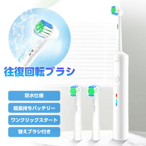 yN[|p10OFFzduV e N f^PA v[g Mtg  ̓ v[g tBAylaf-0036zy\̔F1225ח\菇zyz