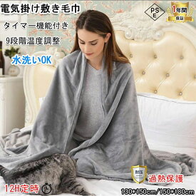 2025 新登場 電気毛布 掛け敷き兼用 日本製ヒーター内蔵 洗える 速暖 9段階温度調整 タイマー 過熱保護 電気ブランケット 省エネ ダニ退治 ふわふわ PSE認証 敷きフランネル 丸洗い 均一加熱 冷え対策 電気ひざ掛け PSE認証済み