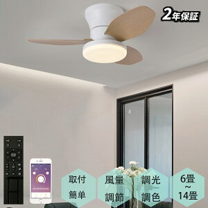 V[Ot@Cg F led ^ k R V[Ot@ 莞@\ dsv rO ]؂ dc[^[ ^ Cz y 10 12 @t a dC 