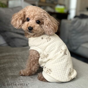 ybgEFA    L Ȃ XS S M 100% Lgjbg ^Ngbv pW} ~ m hbOEFA LbgEFA ^ ^ efBxA[ ܕ Lg jbgLg 킢