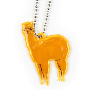 ˔L[z_[ tN^[ BOSTR fUC ʈSObY Z[teB[ObY ʉ ʊw q  `[ ̎q j̎q  TbJ[  { L ˂  jR[