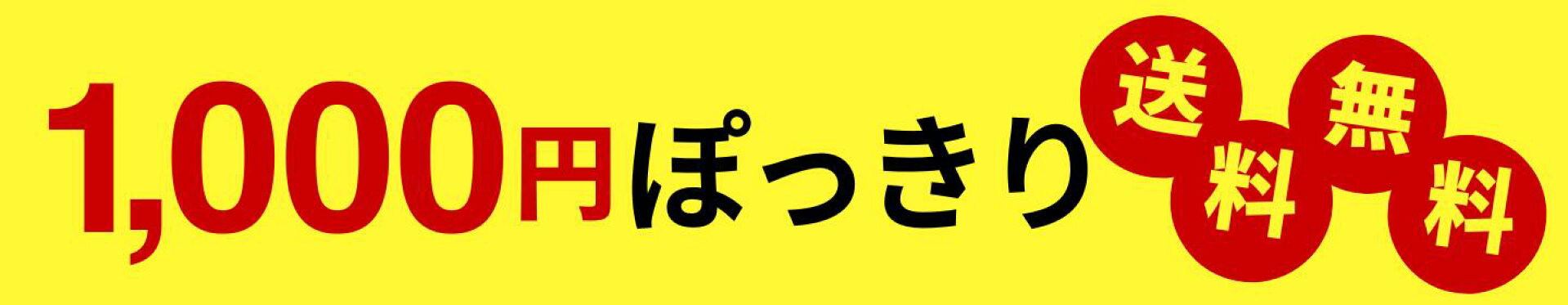 1,000円ぽっきり送料無料