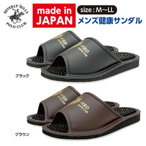 POLO NT_ T_ Y Xbp NXbp wbvT_  am   ItBX ItBX   Г O { Y ڃ}bT[