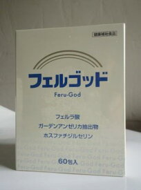 フェルゴッド　Feru-God　