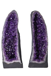 uW AWXgh[ yAh[󏭁@cC AWXgh[@AWXg@VR΁@΁@i@u@@NX^[@򉻁@^@^J^@@K^@?@