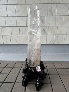  ^[|Cg 61cm No.4 uW ~iXWFCXB  NX^ p[Xg[ VR   u z a N K^ |Cg J^ ^ ^ ^ N^ Ɖ^