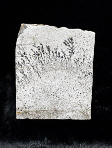 fhbNNI[c@NO.51  NX^ p[Xg[ VR   u z a N K^ |Cg J^ ^ ^ ^ N^ Ɖ^ p[X|bg ` A