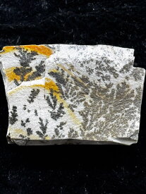 デンドリッククオーツ　NO.57☆ 水晶 クリスタル パワーストーン 天然石 原石 風水 置物 鉱物 誕生石 生年月日 幸運 ポイント 開運 金運 財運 恋愛運 健康運 事業運 パワースポット ルチル アメジスト アメジストドーム デンドリック