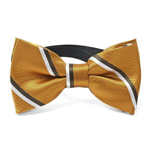 lN^C lN^C q LbY {E^C tH[}lN^C j̎q qp WjA qǂ Y XgCv W^ tH[}   F CF lCr[ CG