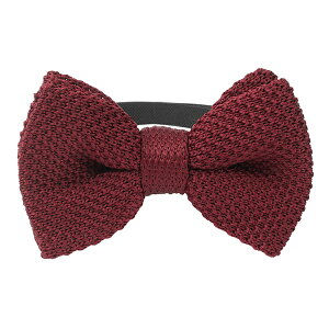 蝶ネクタイ 蝶タイ ニットネクタイ ワンタッチ ワンタッチネクタイ クイックネクタイ ジュニアネクタイ ジュニア 子供用 キッズ 子供 ニットタイ おしゃれ ニット 男の子 簡単 簡単ネクタイ