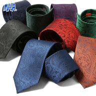 ネクタイ メンズ ペイズリー柄ネクタイ ペイズリー おしゃれネクタイ 紳士 男性 カジュアルネクタイ カラ…