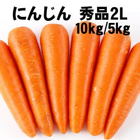 【最安値挑戦！】にんじん 人参 秀品 2L 10kg5kg ジュース 野菜 家庭用 業務用