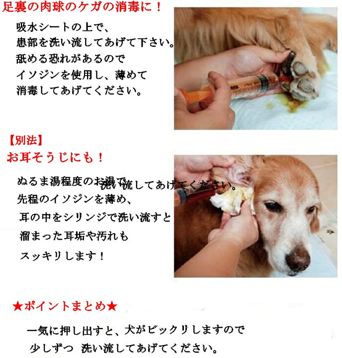シリンジ 10本 30ml 小動物 犬 猫 エサ ミルク 薬やり インク 詰め替え ブレーキライン エア抜き 注油 OIL計量 n2it 最大47%OFFクーポン シリンジ 10本 30ml 小動物 犬 猫 エサ ミルク 薬やり インク 詰め替え ブレーキライン エア抜き 注油 OIL計量 n2it 最大47%OFFクーポン