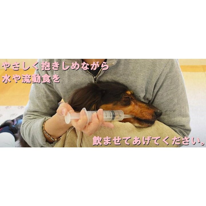 楽天市場 犬猫用シリンジ ピンク 30ml Mサイズ シリンジ 注射器 ペット 動物 動物用 犬 猫 犬猫 えさやり 流動食 食事 ドッグフード キャットフード 水やり えさ 餌 給餌 介護 老犬 老猫 小型犬 小型猫 小動物 普通郵便発送のみ 急ぎ対応不可 エルサチ