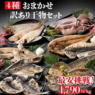 訳あり 海鮮 干物セット 1kg 詰め合わせ おまかせ 製造元直売 アウトレット干物 乾燥【冷凍便】 美味しい…
